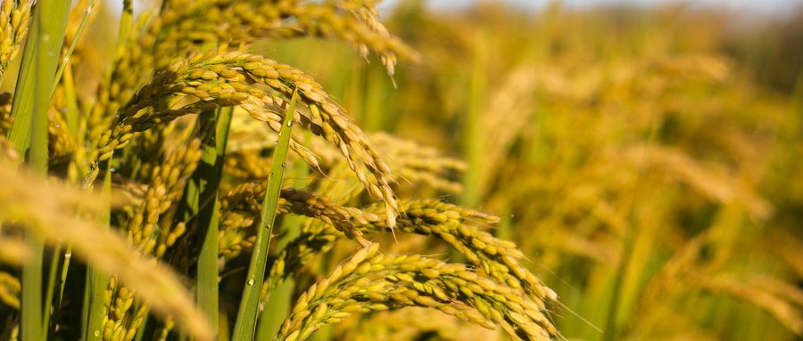 乐天堂fun88·(中国集团)官方网站