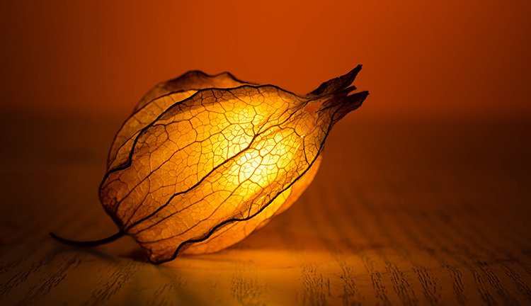 乐天堂fun88·(中国集团)官方网站