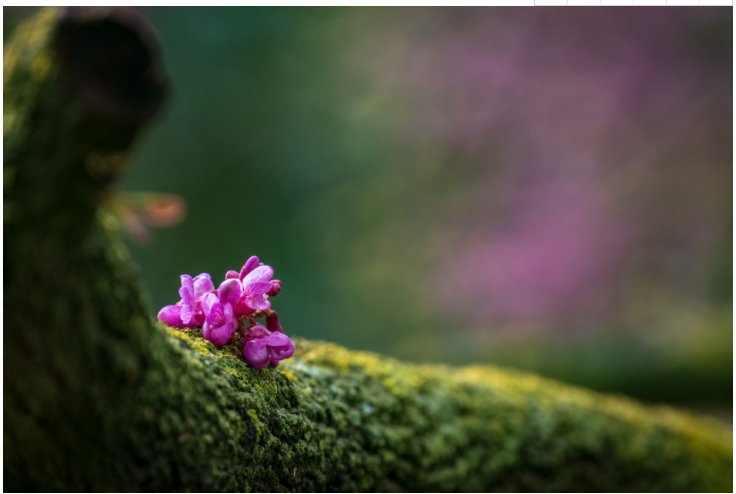 乐天堂fun88·(中国集团)官方网站