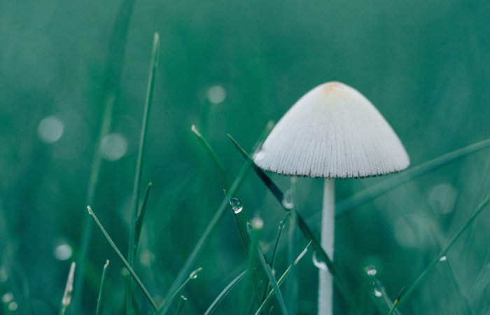 乐天堂fun88·(中国集团)官方网站