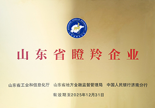 山东省瞪羚企业